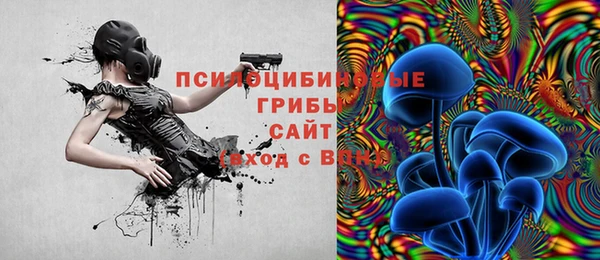 а пвп мука Мегион