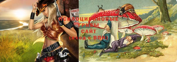 гидропоника Медвежьегорск