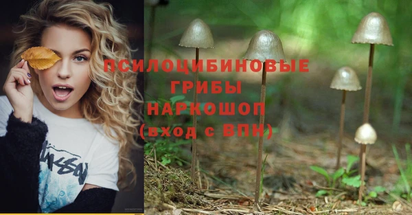 спайс Медногорск